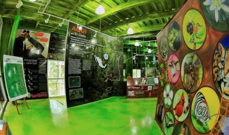 IMG-20230714-WA0091-850x500