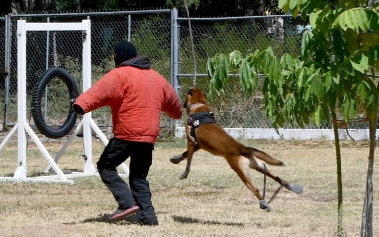 IMG_20230716_101853-799x500