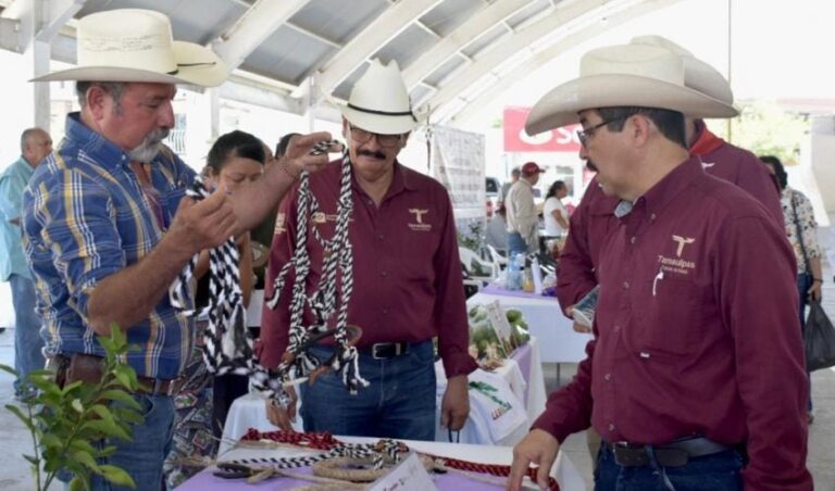SRU-033-2023.-Productores-tamaulipecos-exhiben-sus-productos-en-el-Tianguis-Rural-6-850x500