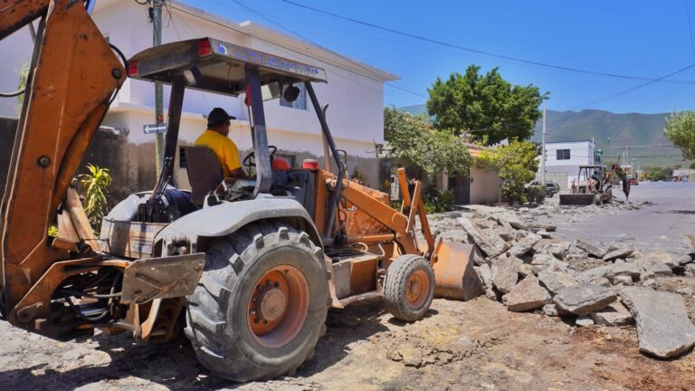 WhatsApp-Image-2023-07-20-at-13.01.52