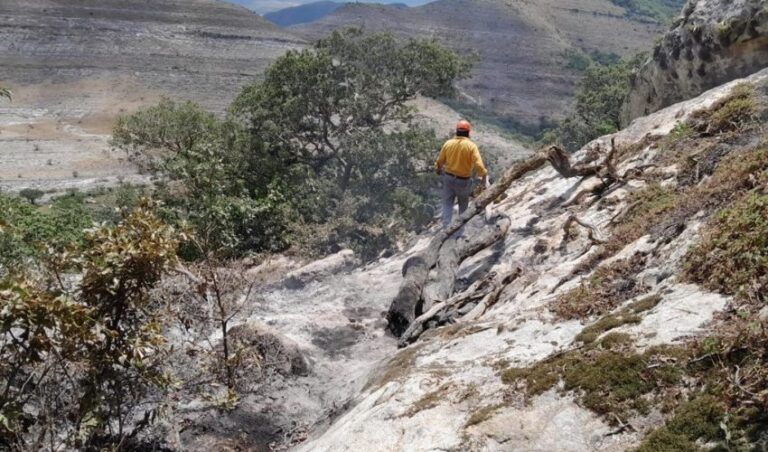 CPC-008-2023.-Proteccion-Civil-Tamaulipas-y-CONAFOR-extinguen-incendio-forestal-en-San-Carlos-3-850x500