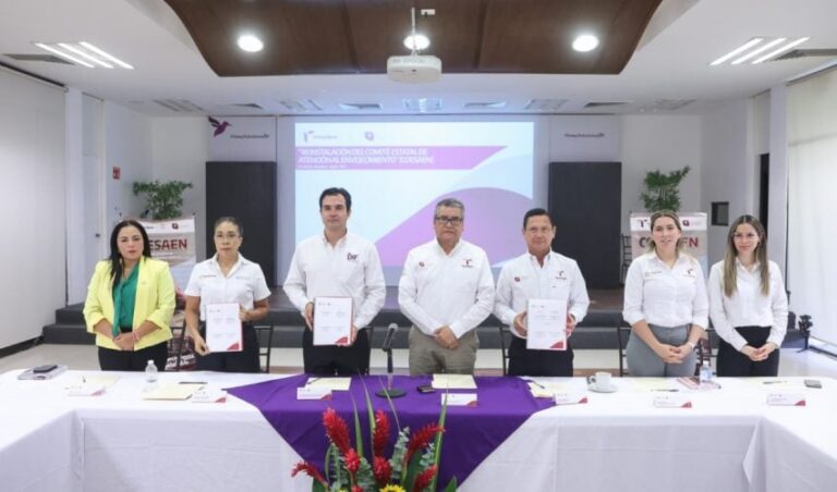 DIF-108-2023.-Participa-DIF-Tamaulipas-en-Reinstalacion-del-Comite-Estatal-de-Atencion-al-Envejecimiento-2-850x500