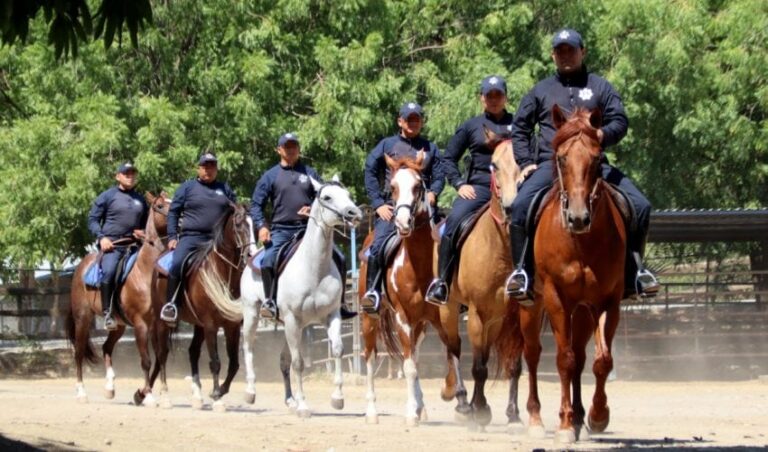 SSP-061-2023.-Jinetes-de-la-Guardia-Estatal-preservan-seguridad-en-areas-rurales-y-naturales-4-850x500
