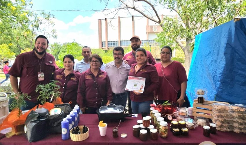 IMG-20230902-WA0091-850x500