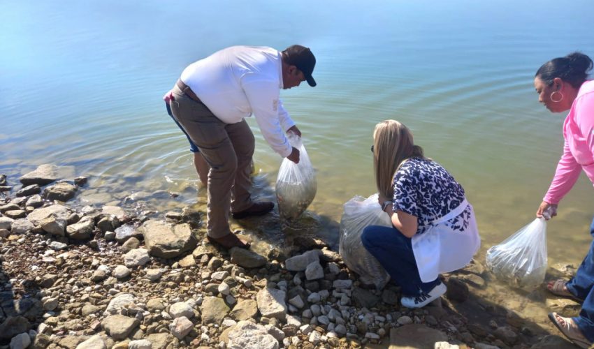 SRU-048-2023.-Fortalece-Gobierno-de-Tamaulipas-actividad-pesquera-con-la-siembra-de-60-mil-alevines-1-850x500