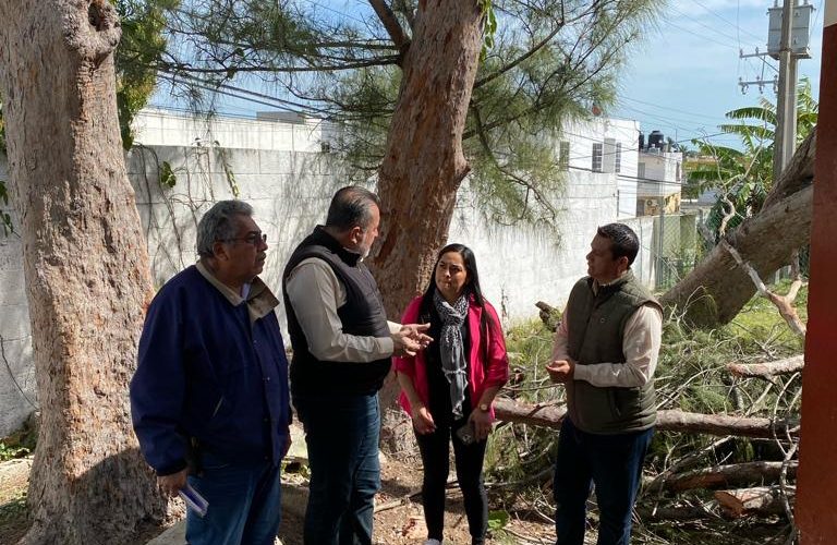 SOP-003-2024.-Restaurara-ITIFE-escuelas-del-sur-afectadas-por-vientos-768x500