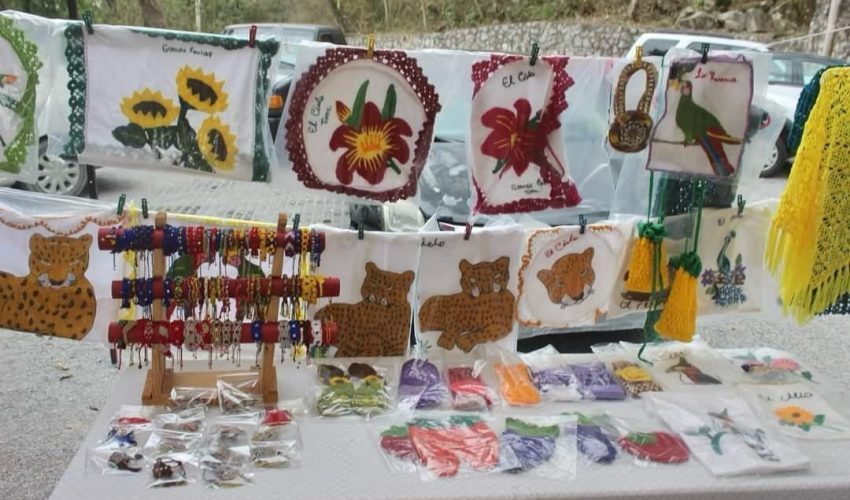 CPB-008-2024.-Abre-sus-puertas-Parque-Biosfera-El-Cielo-para-que-artesanos-oferten-sus-productos-4-850x500