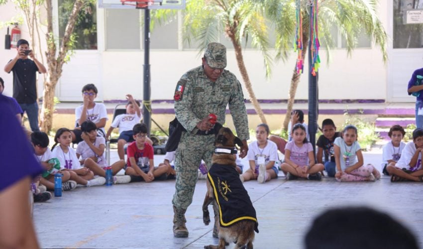 DIF-055-2024.-Culmina-con-exito-campamento-de-verano-del-DIF-Tamaulipas-4-850x500
