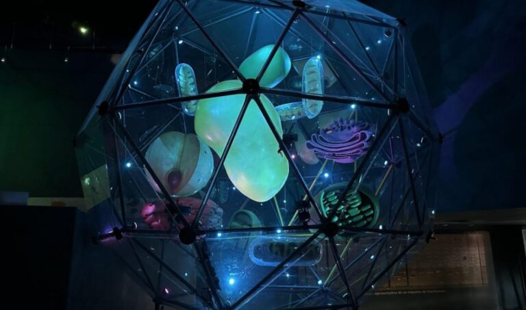 STU-057-2024.-Conoce-y-sorprendete-con-los-museos-de-Tamaulipas-5-850x500