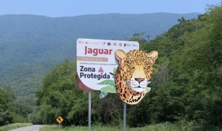 CPB-034-2024.-Coloca-Comision-de-Parques-senaletica-para-evitar-atropellamientos-de-fauna-4-850x500