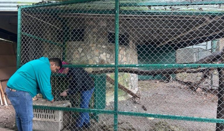 CPB-004-2025.-Por-onda-gelida-permaneceran-cerrados-parques-de-la-Comision-3-850x500