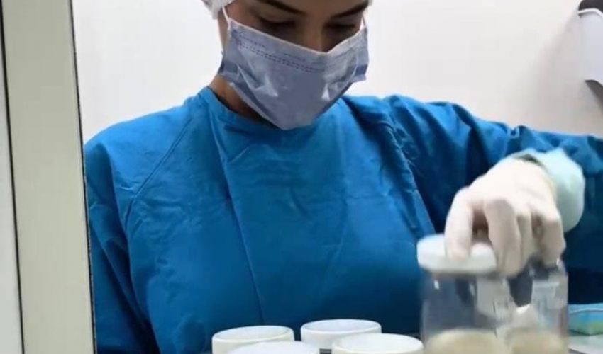 SST-071-2025.-Conmemora-SST-Dia-Mundial-de-la-Donacion-de-Leche-Humana-3-850x500