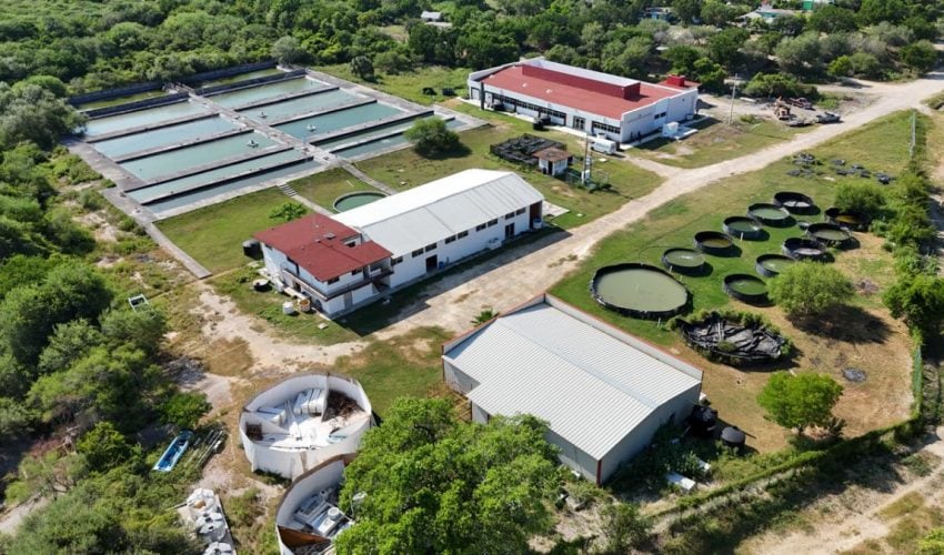 ITI-005-2025.-Fortalece-Gobierno-del-Estado-infraestructura-educativa-en-la-Universidad-Tecnologica-del-Mar-de-Tamaulipas-Bicentenario-4-850x500